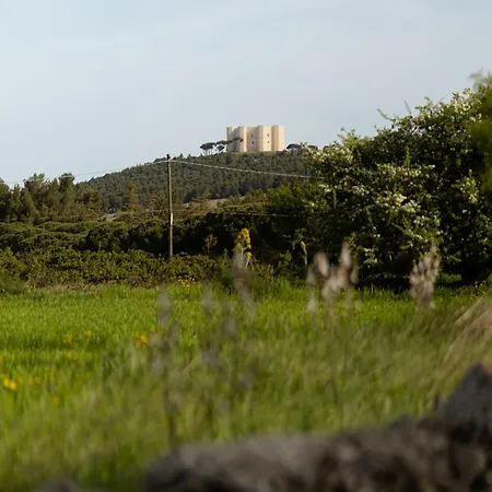 Holiday home Casina Al Castello - Natura E Relax Castel Del Monte (Apulia)